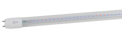Фитолампа для растений Эра FITO-18W-RB-Т8-G13-NL Б0042990