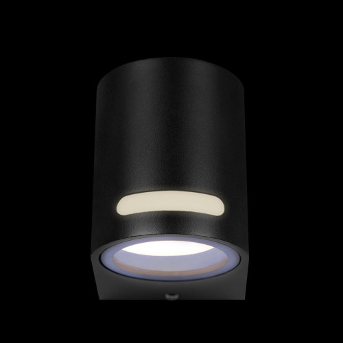 Уличный настенный светильник Loft IT Stema 100012/A