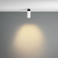 Встраиваемый спот Maytoni Focus led C053CL-L12W2.7K-W-W