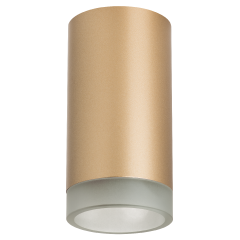 Накладной светильник Lightstar Rullo R44030 (214440+202430)