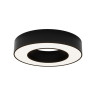Потолочный светильник Maytoni Lua C093CL-24W4K-B
