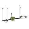Подвесной светильник Loft IT Jardin 10121/D