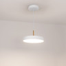 Подвесной светильник Arlight SP-ELEGANT-R300-17W Day4000 (WH, 120 deg, 230V) 033919(1)