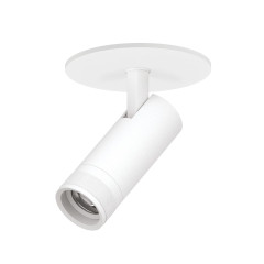 Встраиваемый светильник 20-55G с адаптером Lightstar Canno Pro C4126RS