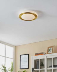 Потолочный светильник Eglo Led Carpi 900369
