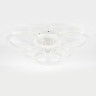 Потолочная люстра Escada Avani 10258/6LED