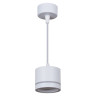 Подвесной светильник Reluce 53003-0.9-001LD GX53 WT