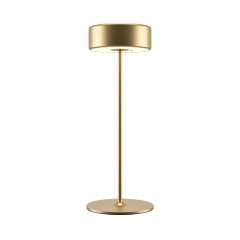 Аккумуляторная настольная лампа Maytoni AI Collaboration MOD229TL-L3G3K2