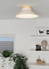 Потолочный светильник Eglo Moharras 900736