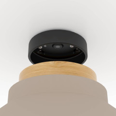 Потолочный светильник Eglo Moharras 900736