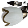 Потолочная люстра Arte Lamp 4 A6061PL-4AB