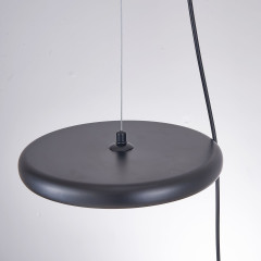 Подвесной светильник ImperiumLoft Margott Black 213907-23