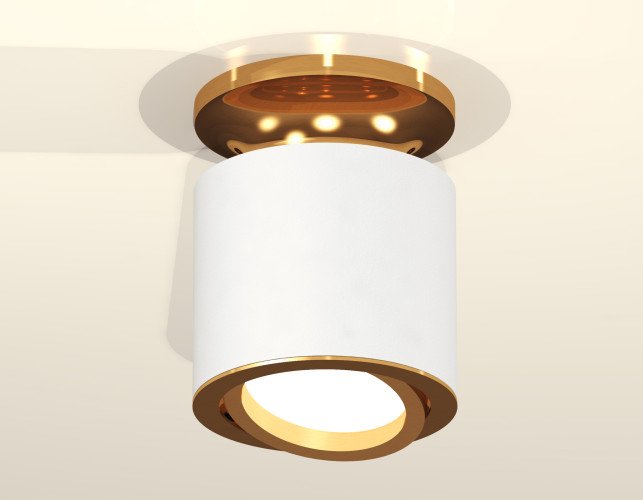 Накладной поворотный светильник Ambrella Light Techno XS7401120 (N7929, C7401, N7004)