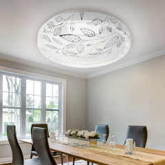 Потолочный светильник Эра SPB-6-50-6,5K Syuzi Б0054490