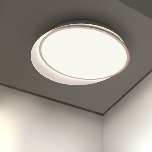 Потолочный светильник ImperiumLoft Shell 102036-26