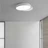 Потолочный светильник ImperiumLoft Shell 102036-26