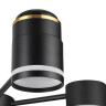 Люстра на штанге Lumion Virsava 8234/6C