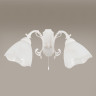 Бра Citilux Латур CL413420