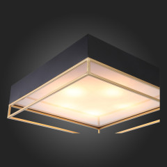 Накладная люстра ST-Luce SL1127.422.05