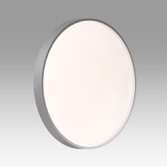 Настенно-потолочный светильник Sonex Tan Gaby 7784/DL