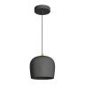 Подвесной светильник Arlight SP-PEONY-HANG-R250-15W Warm3000 (BK, 65 deg, 230V) 039550