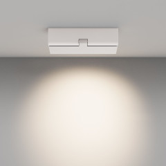 Настенно-потолочный светильник Maytoni Points rot C136CL-12W4K-W