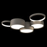 Потолочная люстра Loft IT Pin 10317/5 Grey