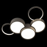 Потолочная люстра Loft IT Pin 10317/5 Grey
