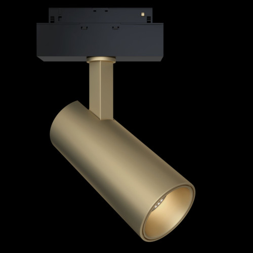 Трековый светильник Maytoni Focus LED TR019-2-15W4K-MG