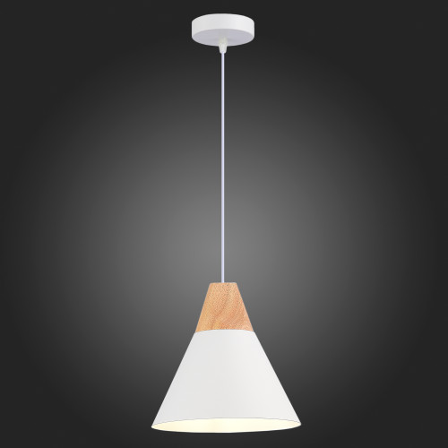 Подвесной светильник Evoluce Modica SLE125103-01