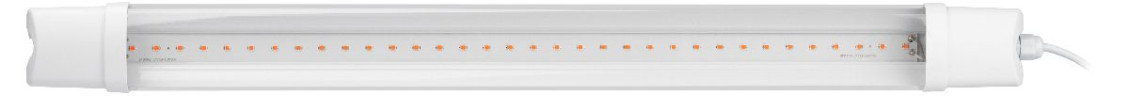Светильник для растений Эра FITO-24W-RB-N Б0061425