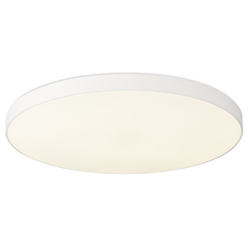 Потолочный светильник Simple Story 1204-LED48CL