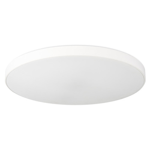 Потолочный светильник Simple Story 1204-LED48CL