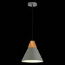 Подвесной светильник Evoluce Modica SLE125113-01