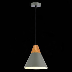 Подвесной светильник Evoluce Modica SLE125113-01