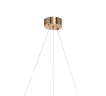Подвесная люстра Zortes Ringer ZRS.57792.96