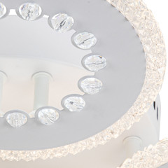 Потолочный светильник Escada Dew 10233/4LED
