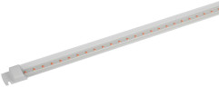 Линейный светильник Эра FITO-10W-Т5-RB-Slim Б0057401
