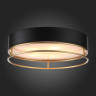 Накладная люстра ST-Luce SL1127.432.05