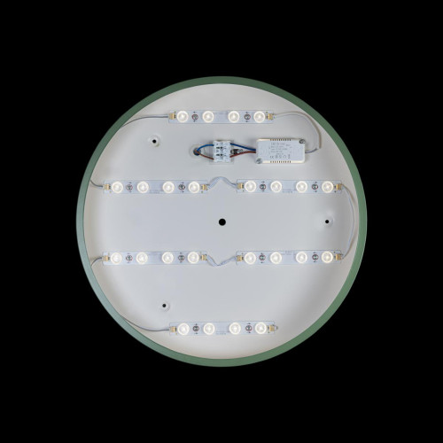 Потолочный светильник Loft IT AXEL 10002/24 Green