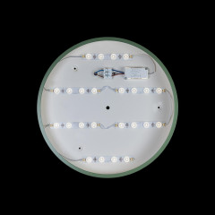 Потолочный светильник Loft IT AXEL 10002/24 Green