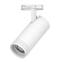 Трековый светильник для однофазного/трехфазного шинопровода Barra 20-55G с тонким адаптером Lightstar Canno Pro C4206SS