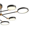 Потолочная люстра Natali Kovaltseva LED LAMPS 81102/6C BRASS BLACK