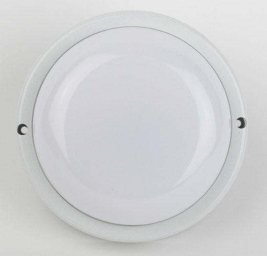 Настенно-потолочный светильник Эра SPB-201-0-40K-012 Б0047619