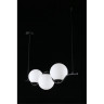 Подвесная люстра Aployt Jagna APL.312.03.03