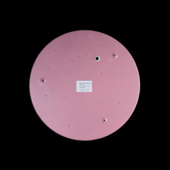 Потолочный светильник Loft IT AXEL 10002/24 Pink