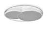 Потолочный светильник Freya Tucene FR10029CL-L70W