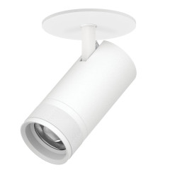 Встраиваемый светильник 20-55G с адаптером Lightstar Canno Pro C4306RS