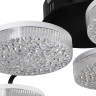 Потолочная люстра Lumion Didana 8236/6CL