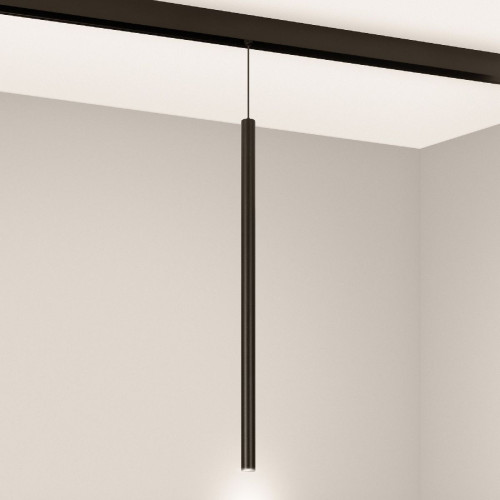 Трековый магнитный светильник Arlight MAG-ORIENT-SPOT-HANG-L500-R20-3W Warm3000 (BK, 20 deg, 48V) 046897